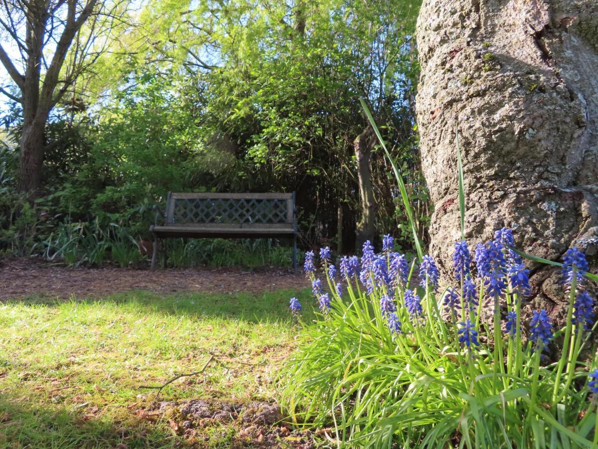 La Quitapenas Villa Ronse Exteriör bild