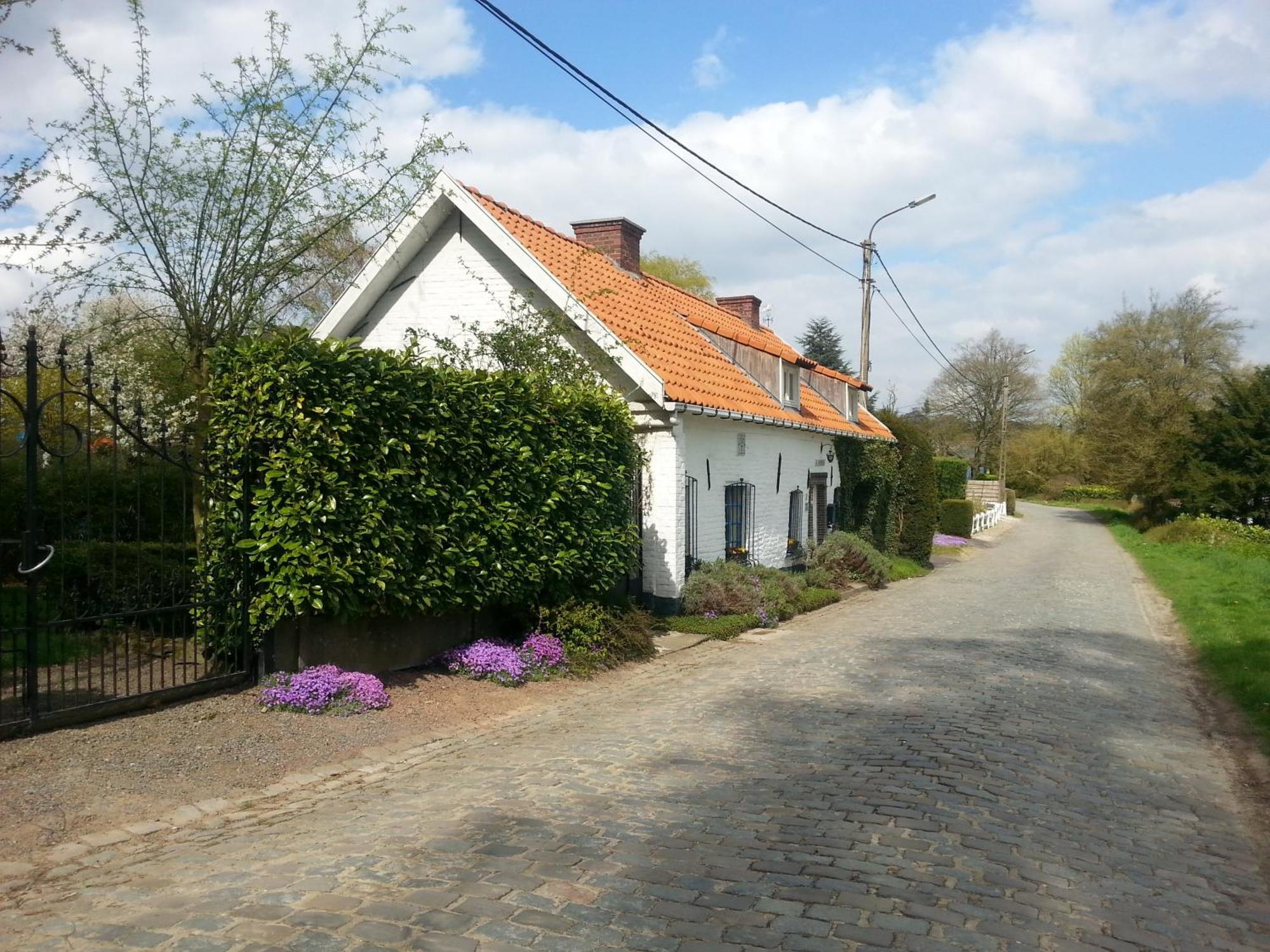 La Quitapenas Villa Ronse Exteriör bild