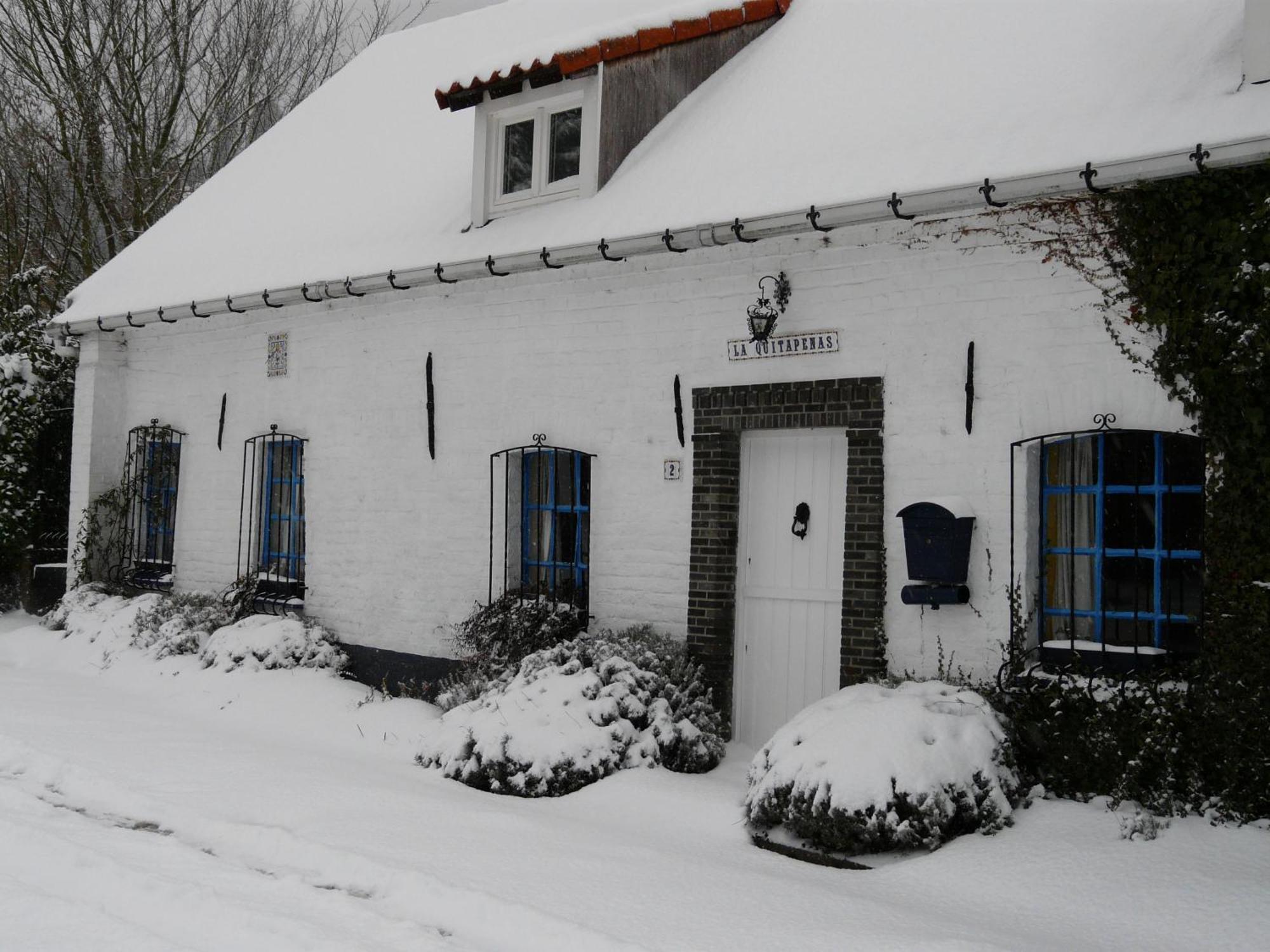 La Quitapenas Villa Ronse Exteriör bild