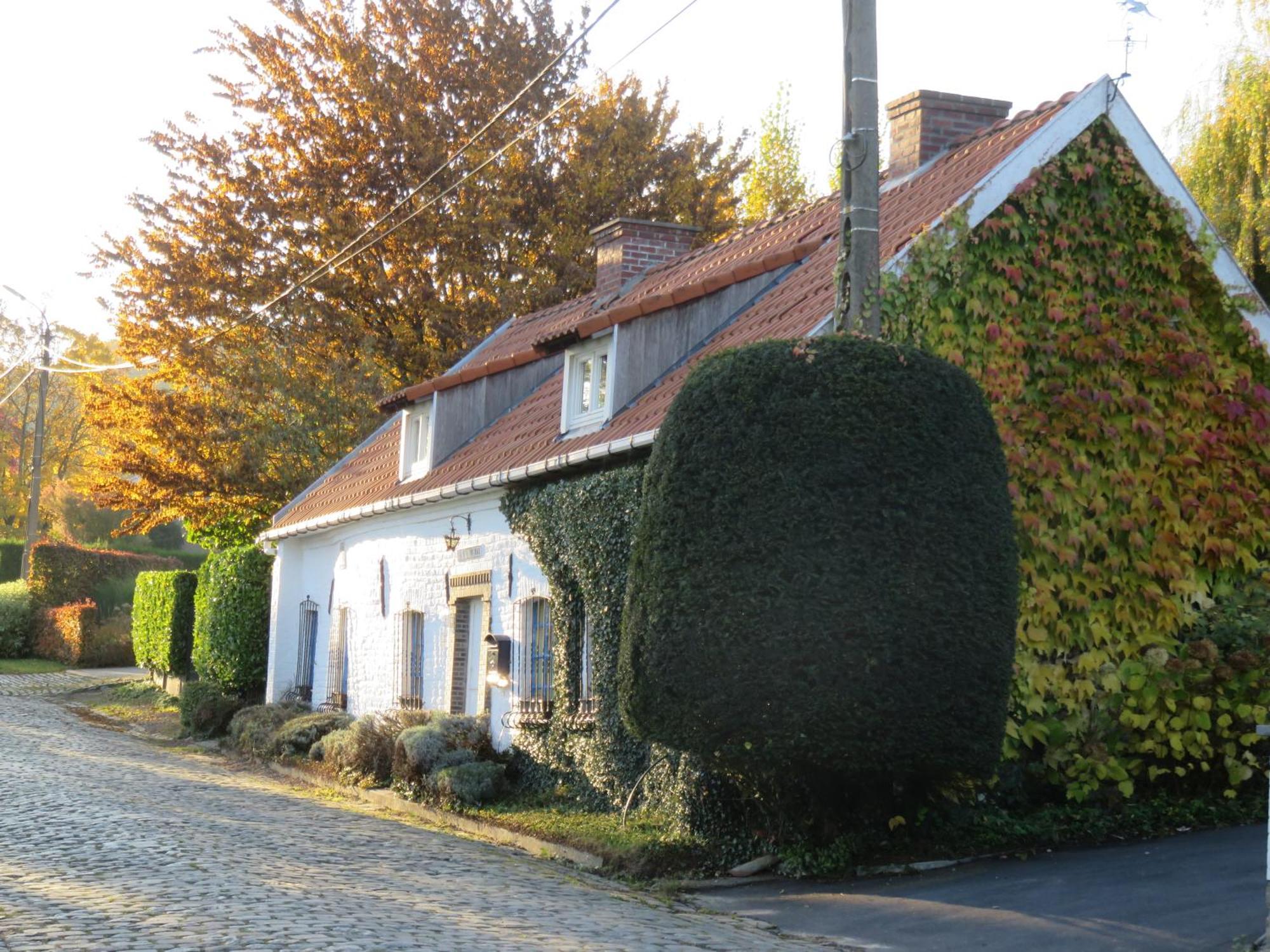 La Quitapenas Villa Ronse Exteriör bild