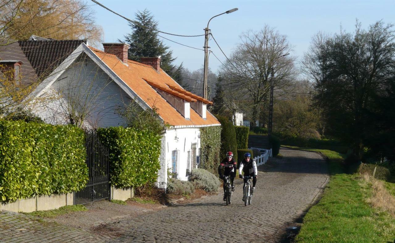 La Quitapenas Villa Ronse Exteriör bild
