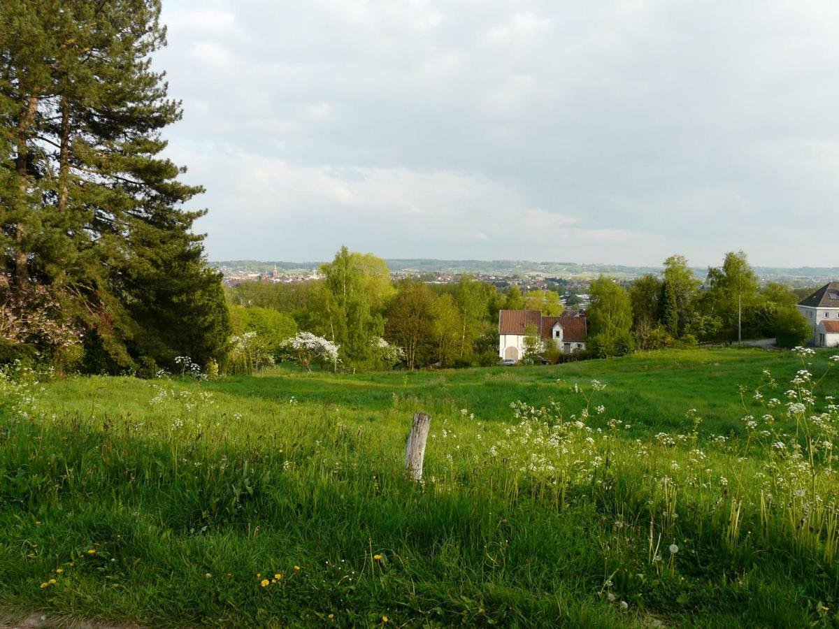 La Quitapenas Villa Ronse Exteriör bild